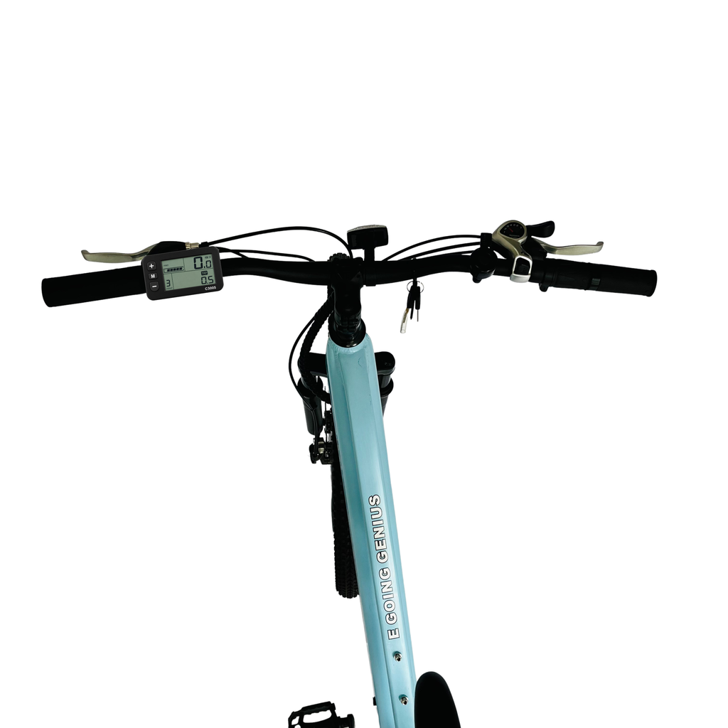 Ficha técnica E Going Genius F — bicicleta eléctrica mujer 350W 36V Ecomotion