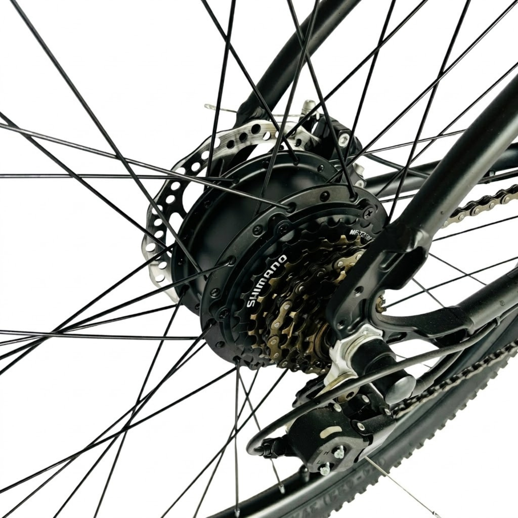 Bicicleta Eléctrica E Forward XR | Motor 250W 36V | Frenos Disco | Rin 29" | MTB Urbana