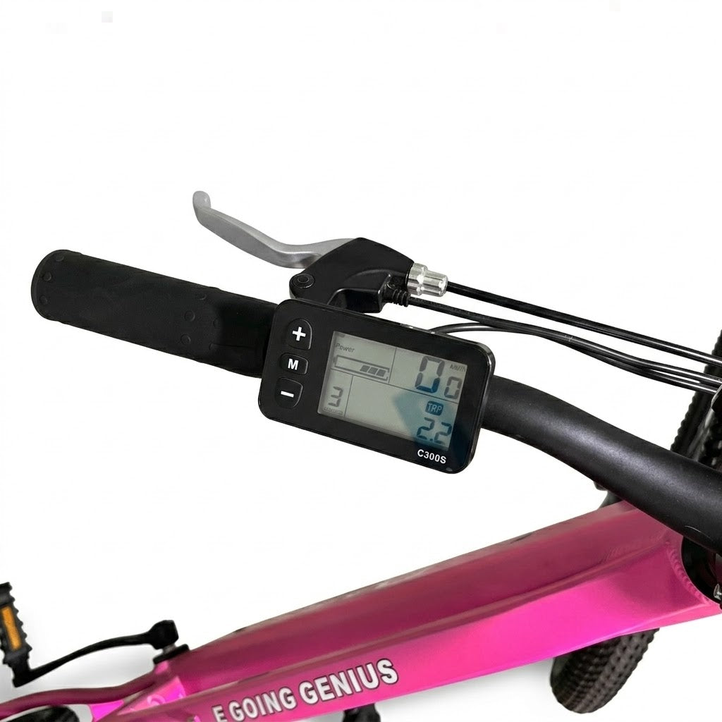 Detalle cuadro Going Genius F — bicicleta eléctrica mujer geometría femenina aluminio