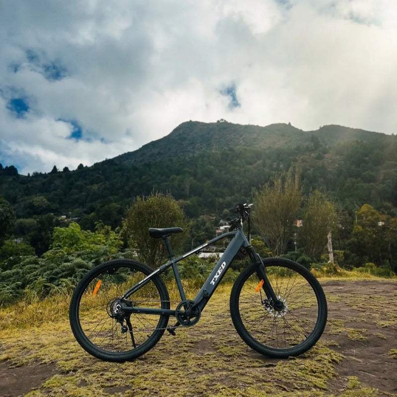 Bicicleta Eléctrica Txed E Going Genius M 350w Pico Gris Oscuro
