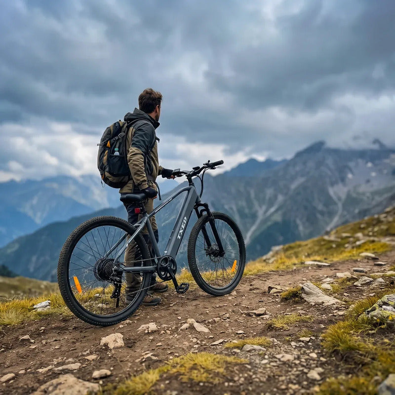Bicicleta Eléctrica Txed E Going Genius M 350w Pico Gris Oscuro