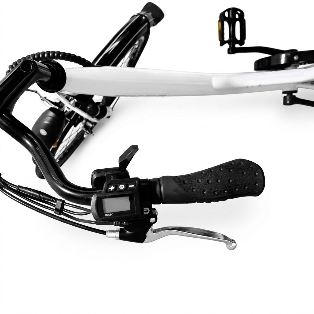 Bicicleta eléctrica E Times City 4000DV vista frontal — estilo Holland Ecomotion